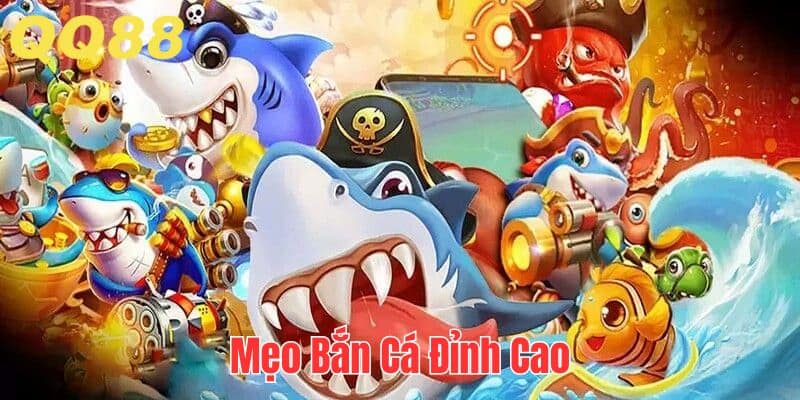 Mẹo đánh cá siêu hay